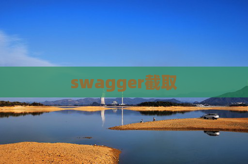 swagger截取
